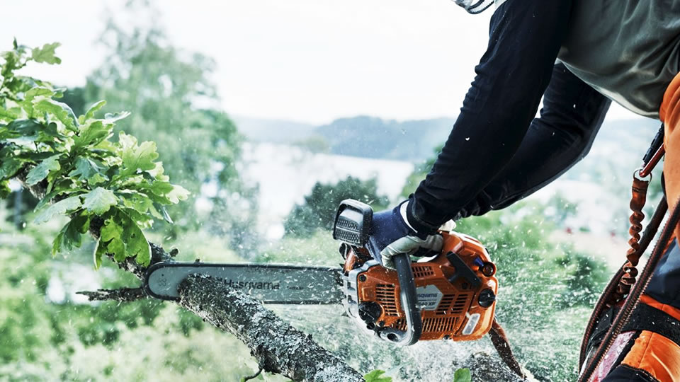 motosserra vale a pena