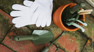 Kit de Jardinagem: Três Ferramentas Essenciais